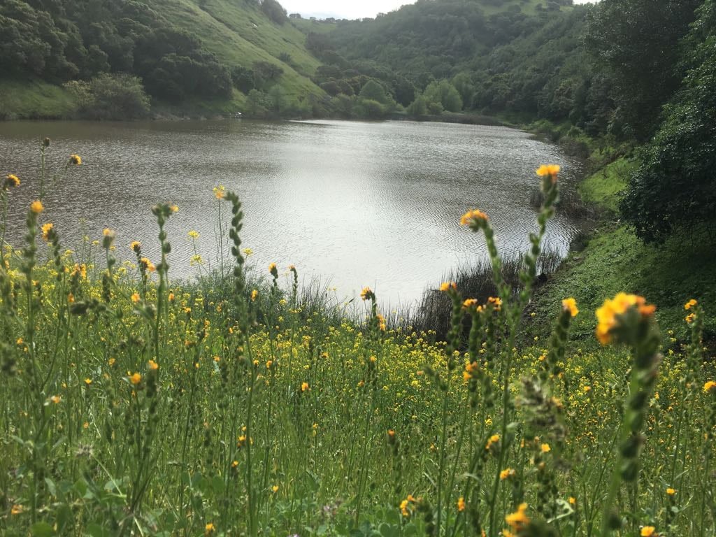 Lake Marie Road 1