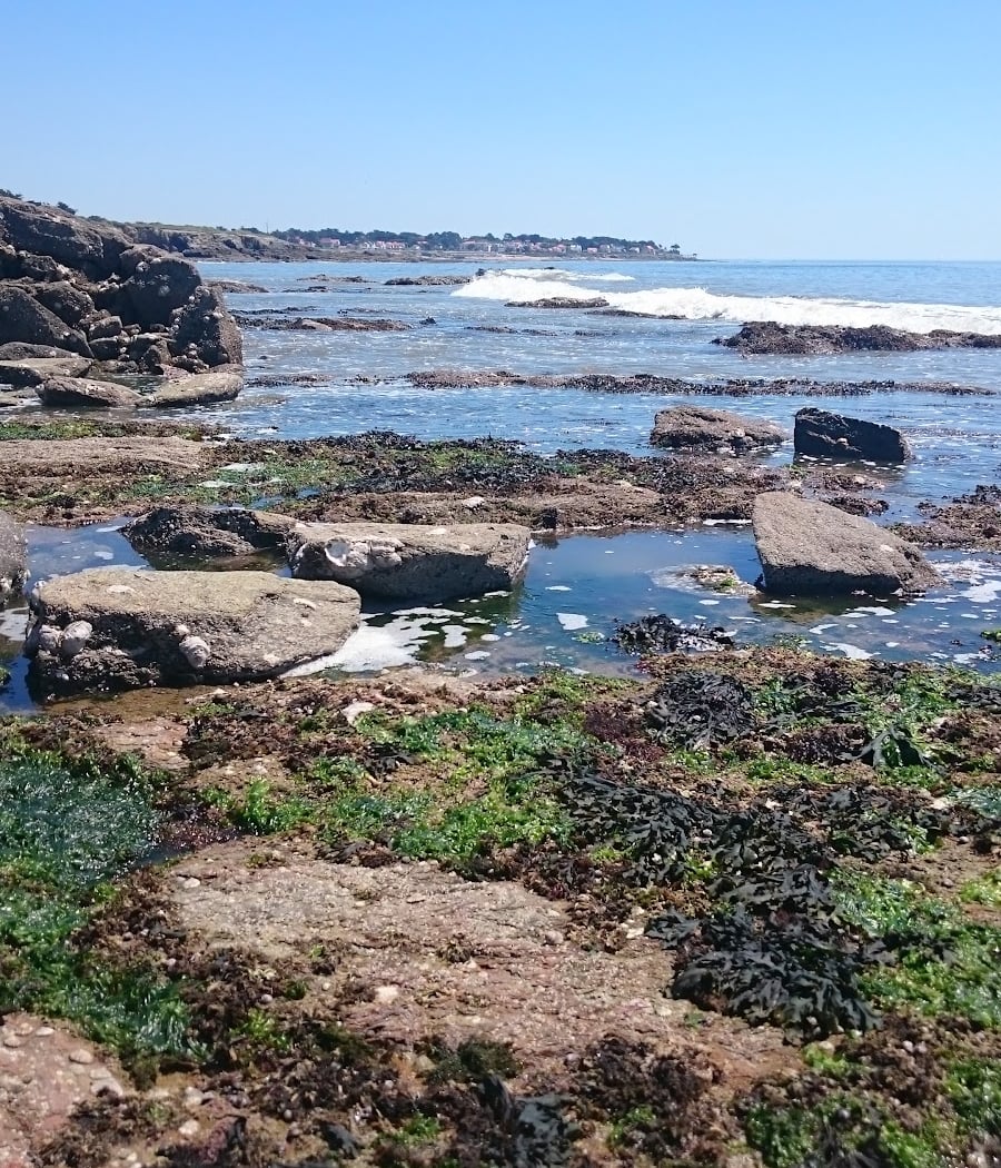 Anse du Sud 2