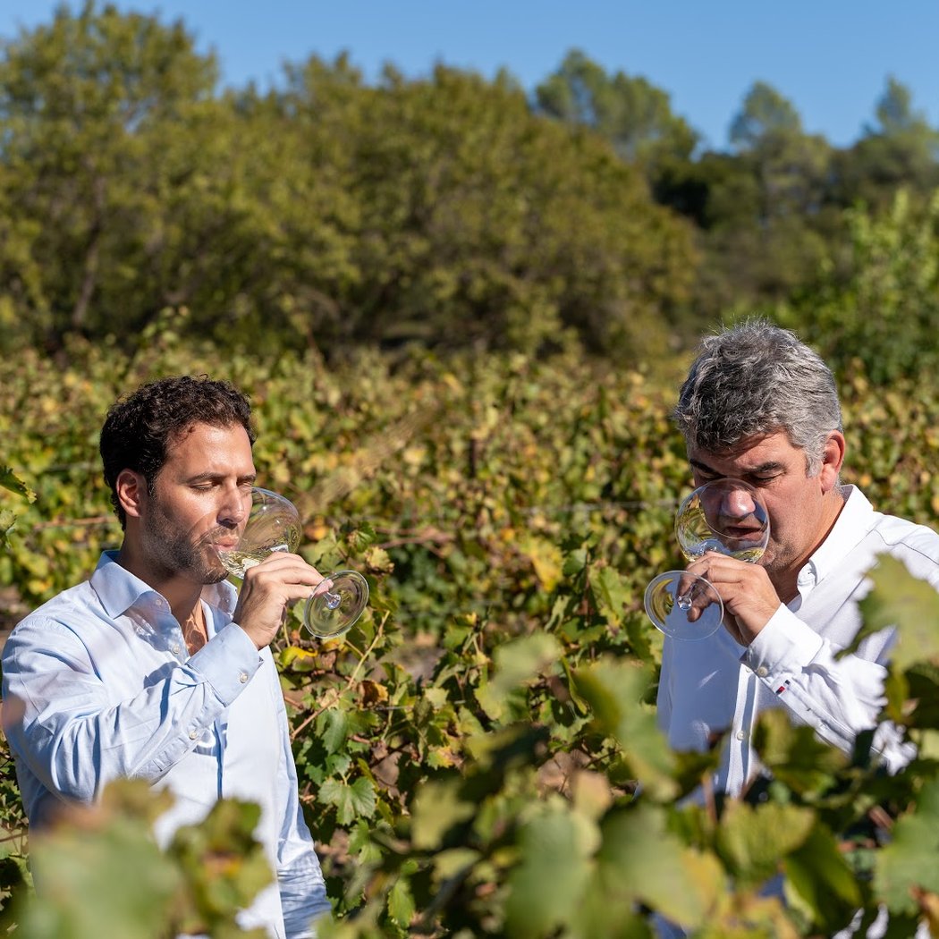 Domaine du Clos de Caille 2