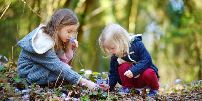 Sensory Nature Walk
