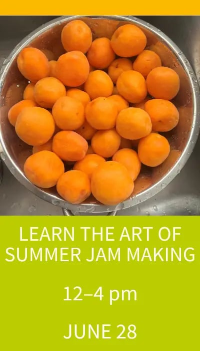 Learn the Art of Summer Jam Making 1