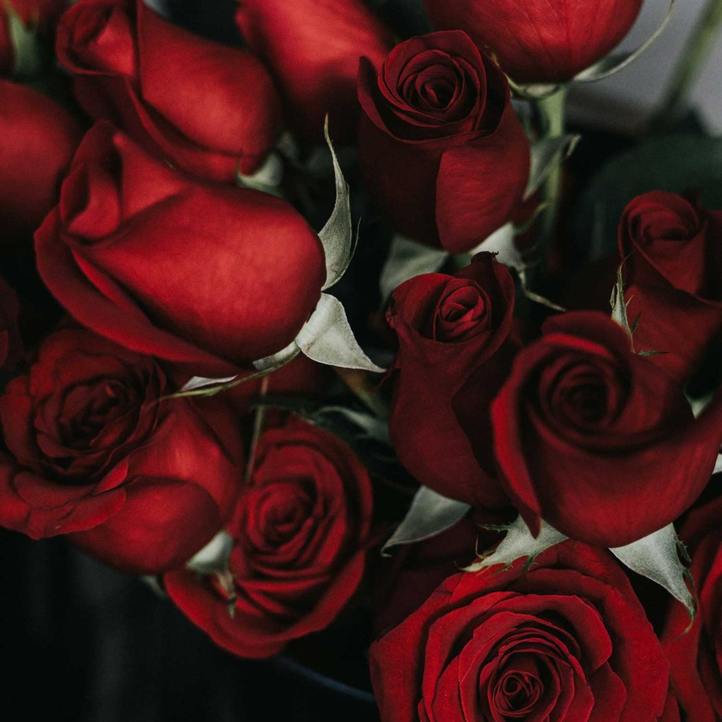 Saint-Valentin 2
