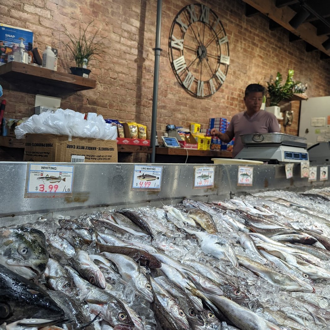 Angel Fish Market 1