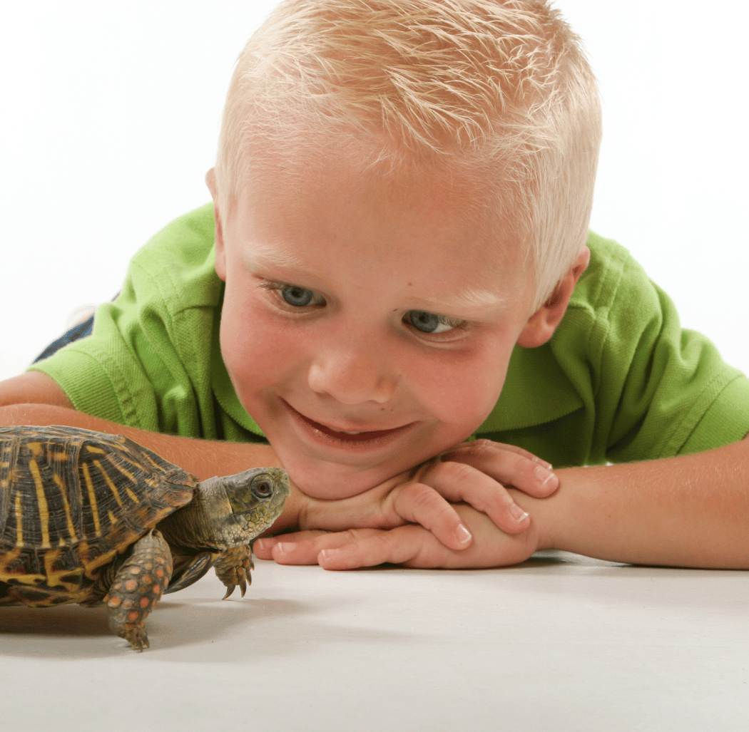 Wildlife Play Days 1