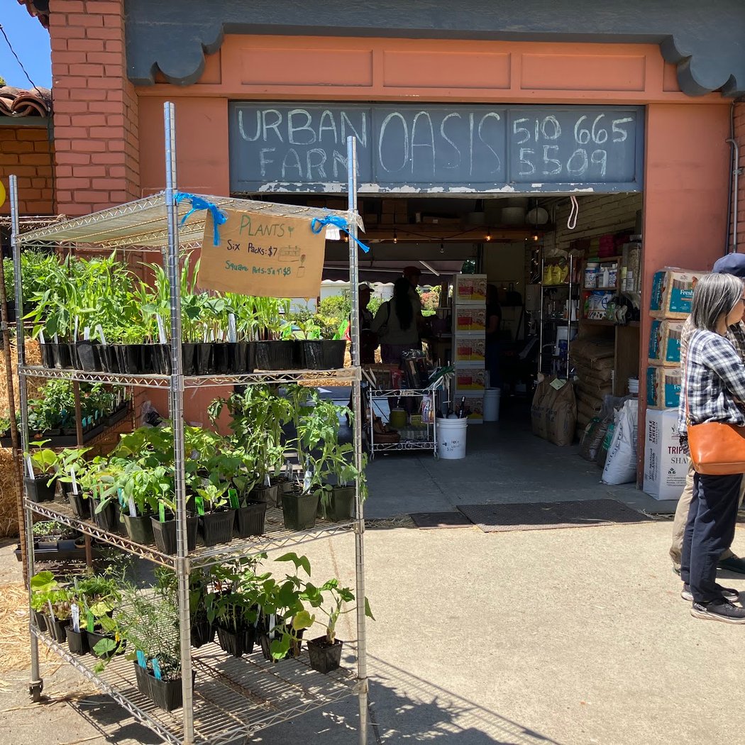 Urban Farm Oasis 2