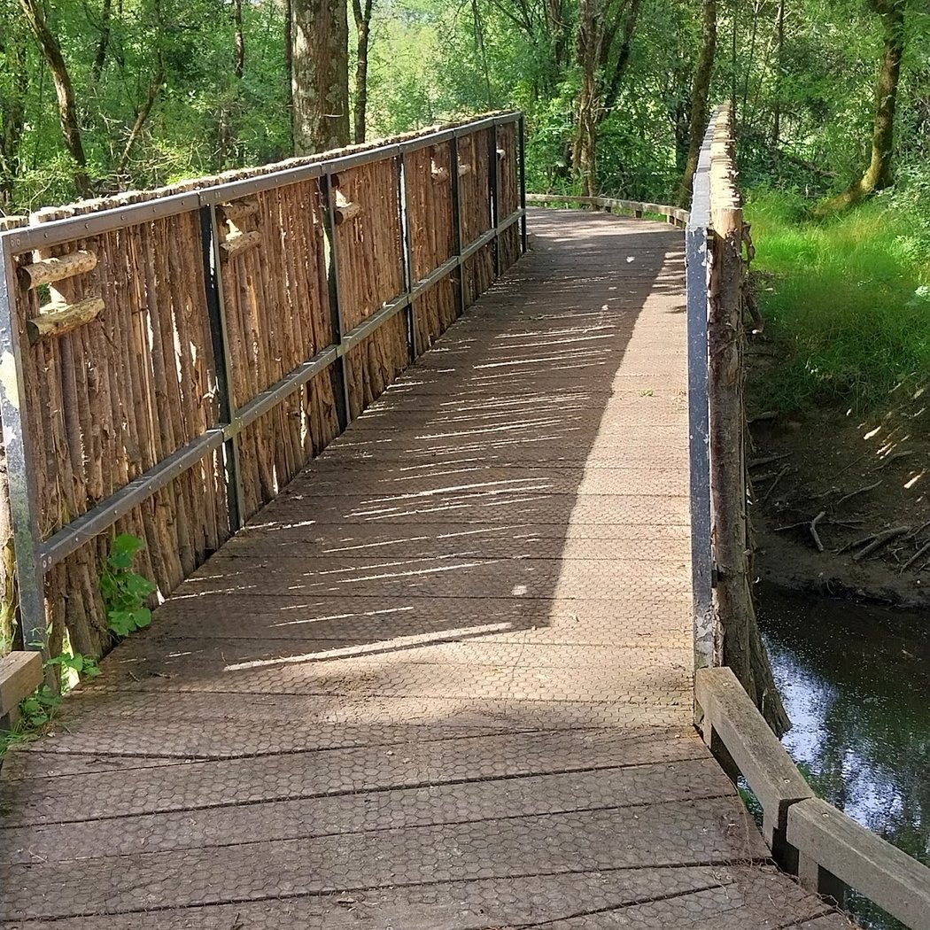 Passerelle Saint-Rachoux 4