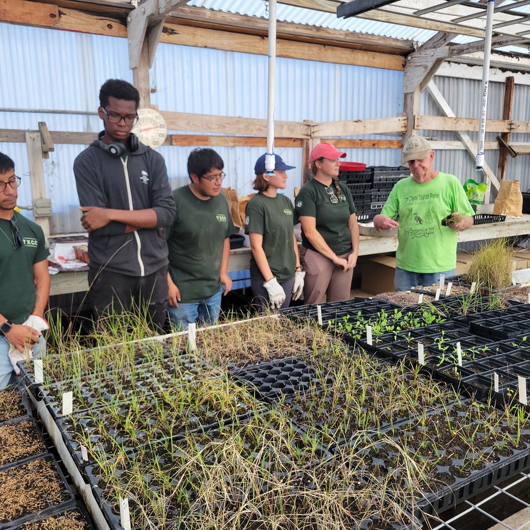 EcoCenter Weekly Nursery Workdays 1