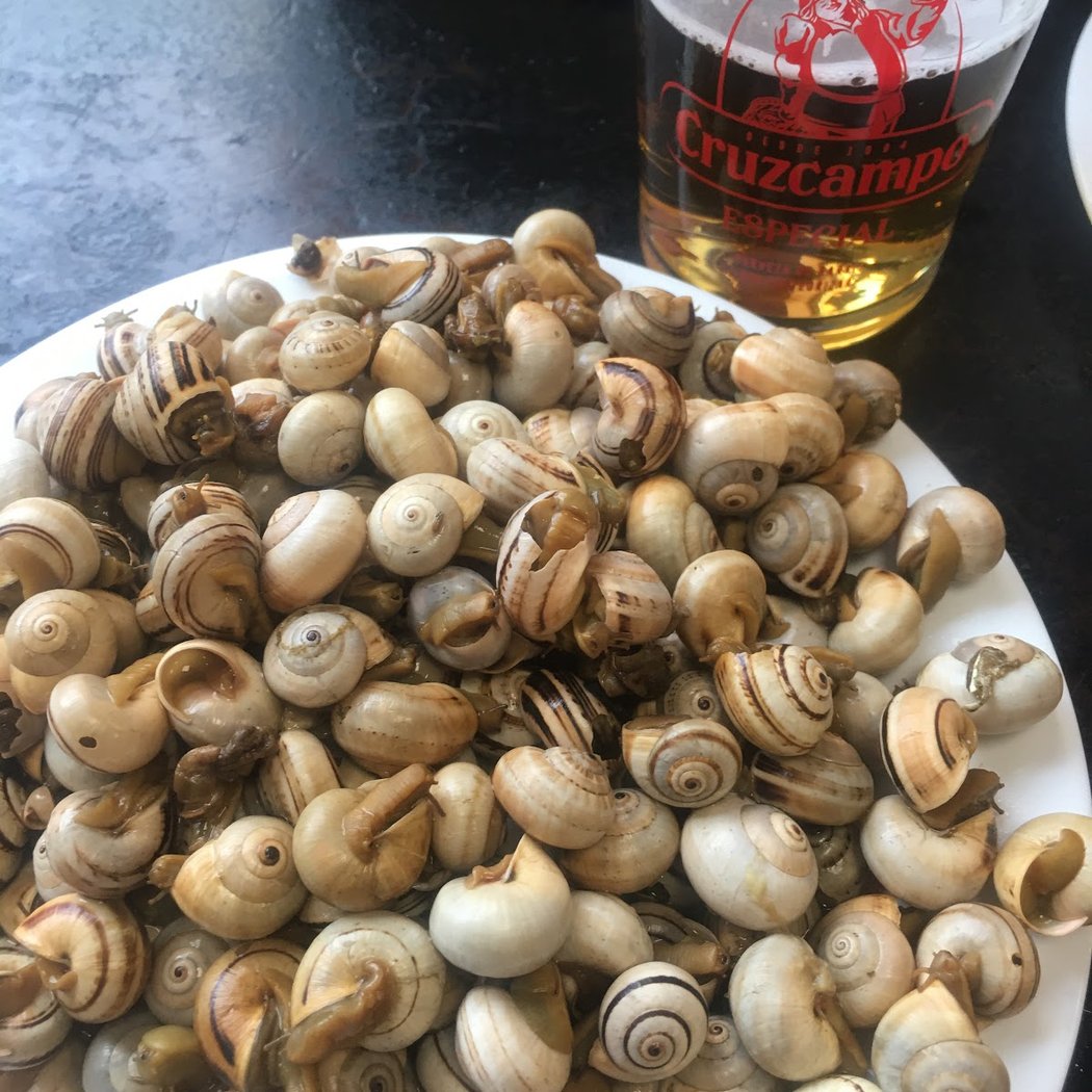 Cerveceria Cardenal 1