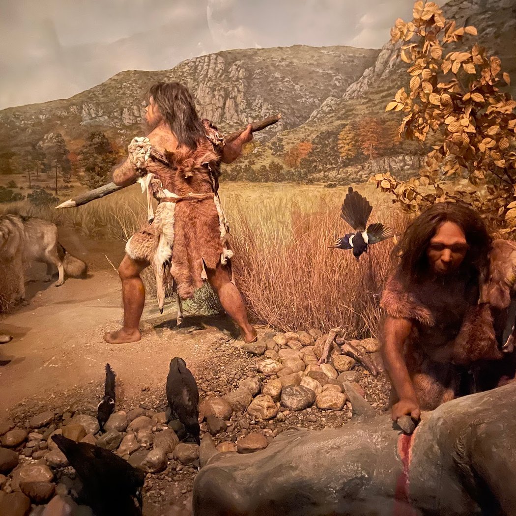 Museum of Prehistory Tautavel 3