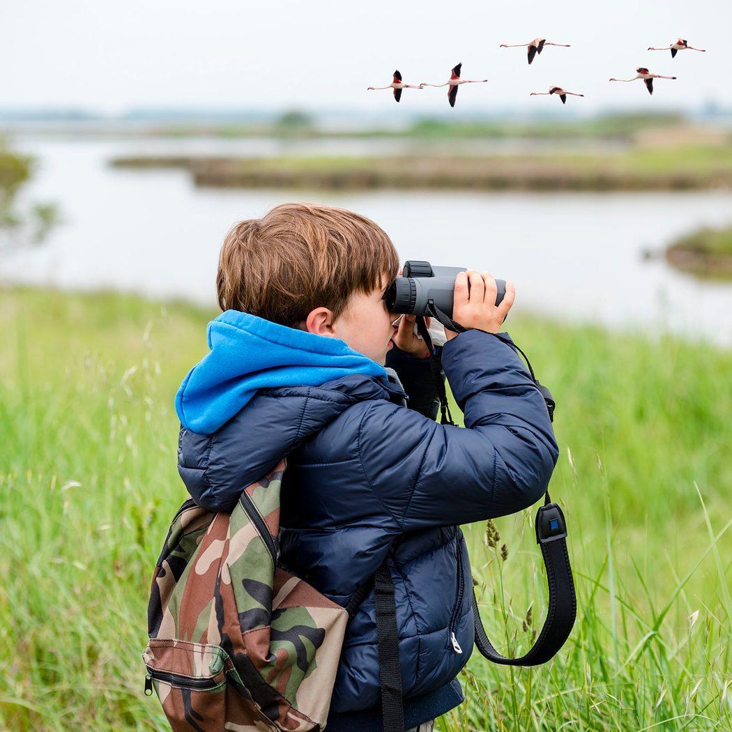 Birding at Dowell Ranch 1
