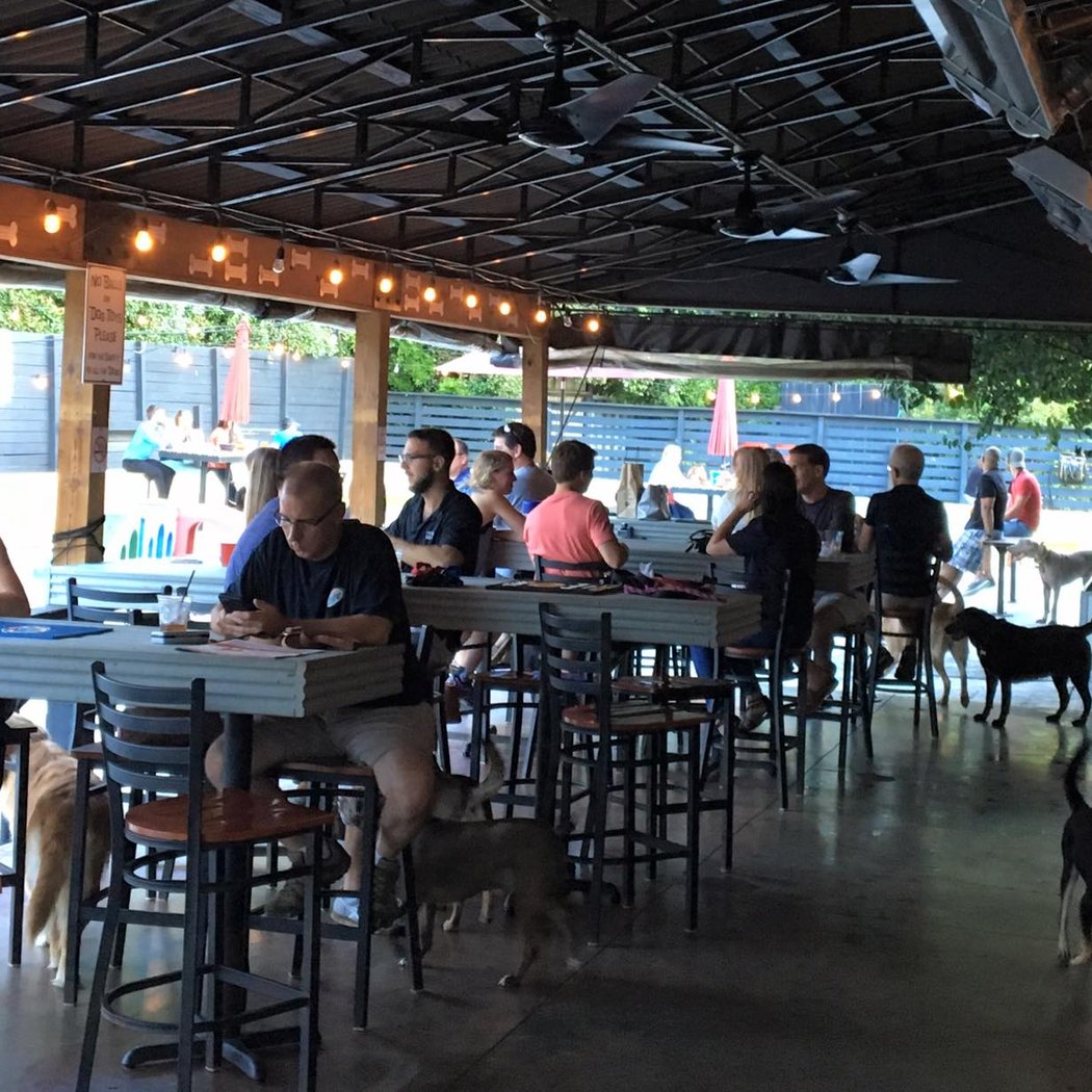 Thursday Trivia Night at Lucky Dog Bark & Brew 1