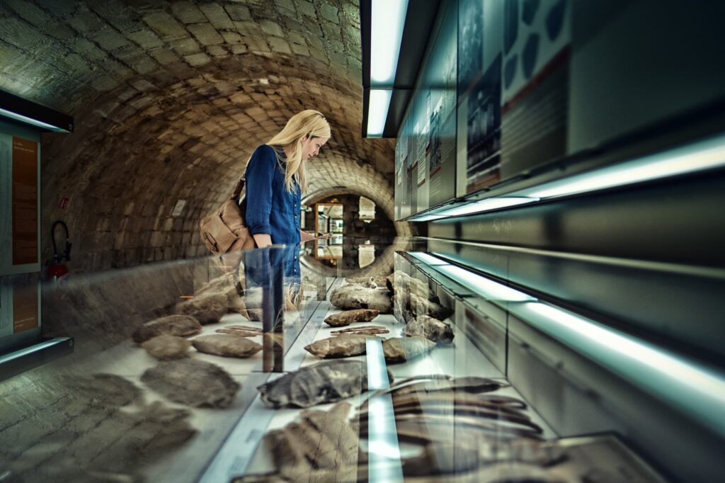 Museum of Prehistory of Grand Pressigny 1