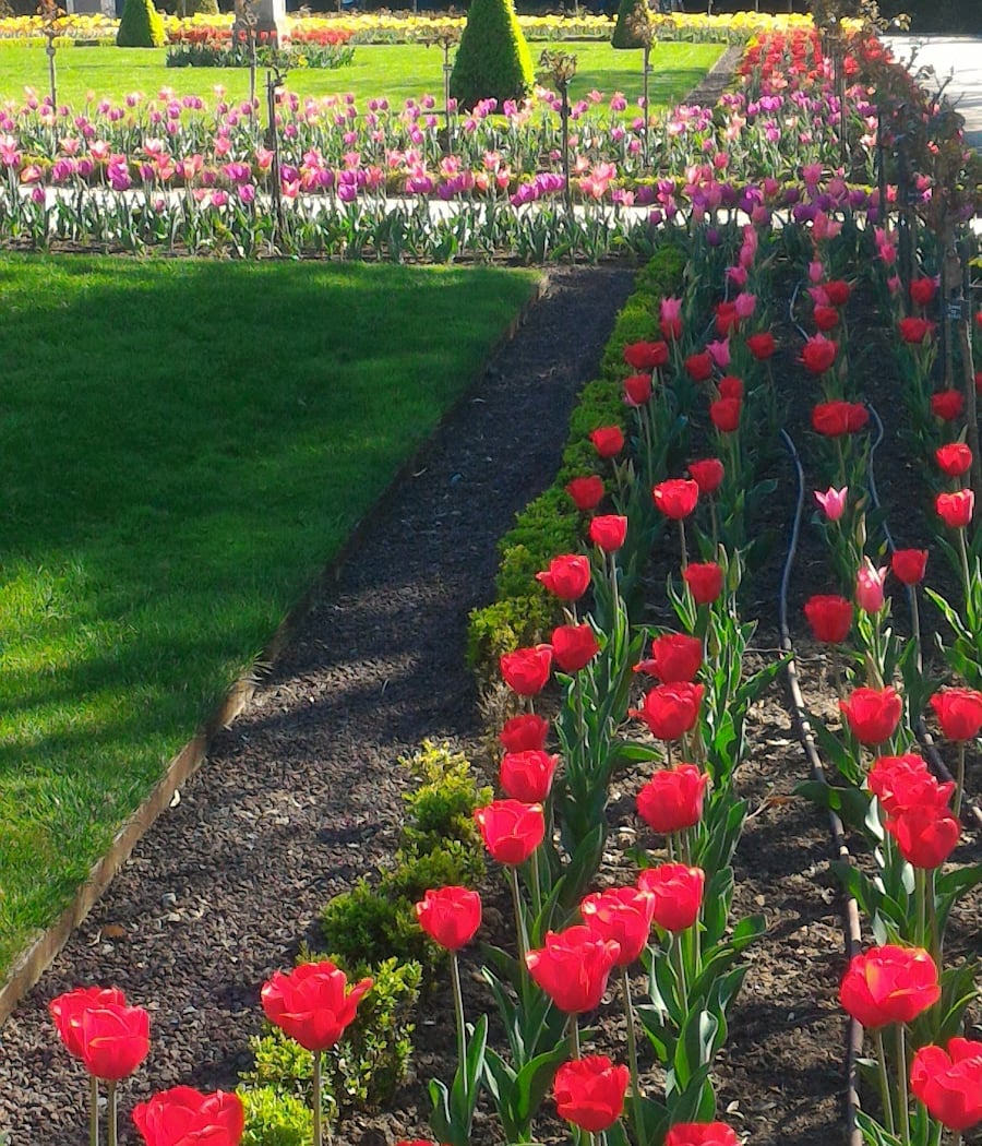 Tous au parc ! 1