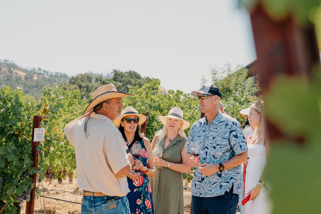 Estate Vineyard Hike