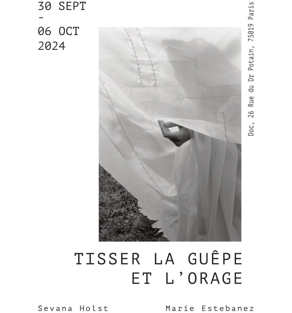 Tisser la guêpe et l'orage 1