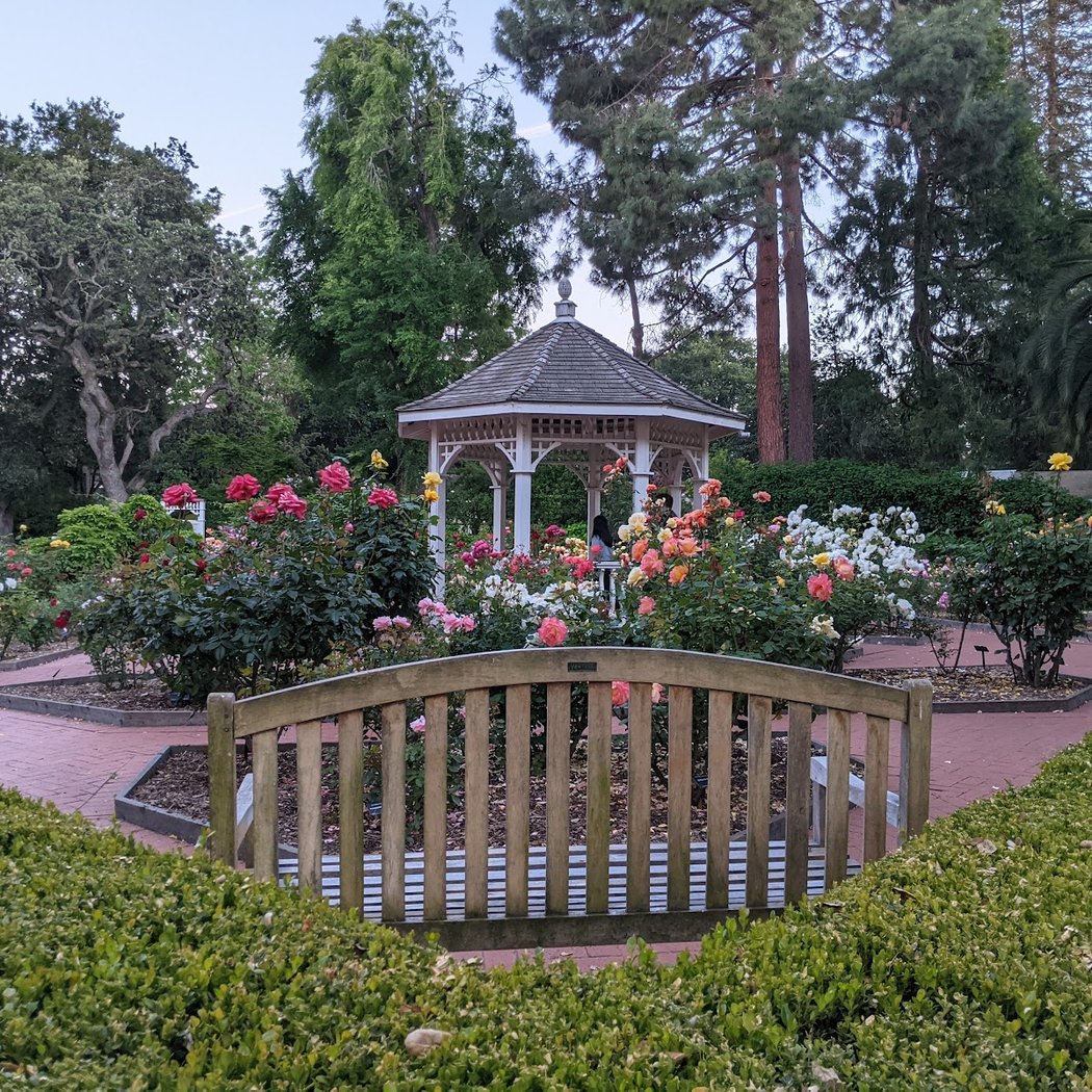 San Mateo Central Park 3