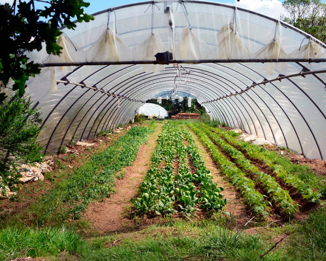 La Ferme des Mille Bras 1