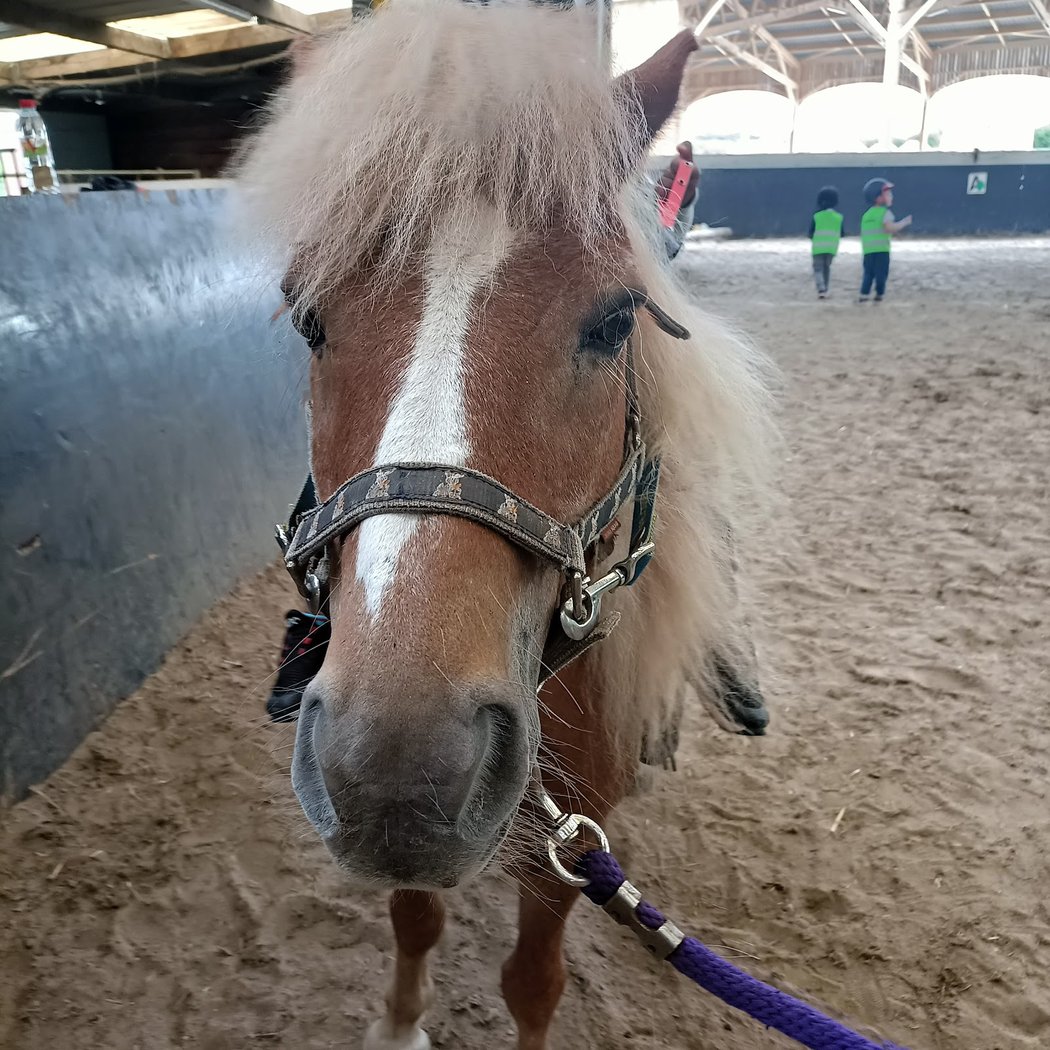 Pony Club Du Voulgis 3