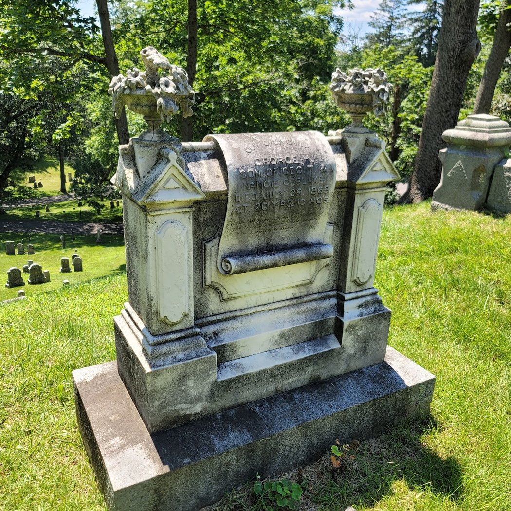 Buried Treasures Part II: A Harmony Grove Cemetery Spring Walking Tour 1