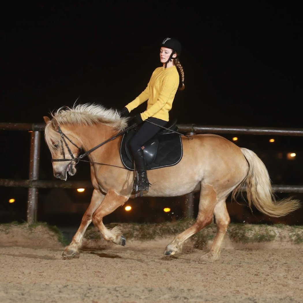 Equestrian Center De Maurecourt 1