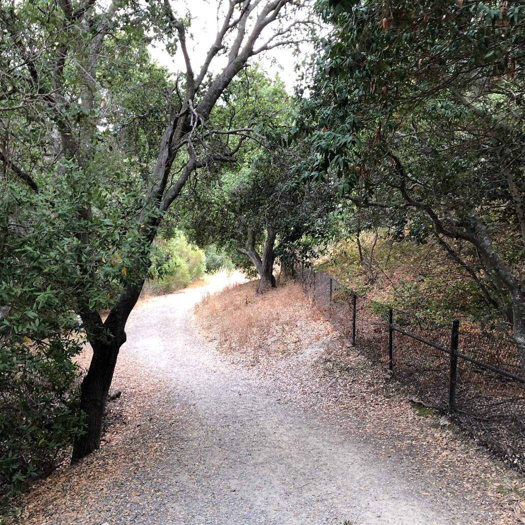 Martin Canyon Creek Trailhead 2