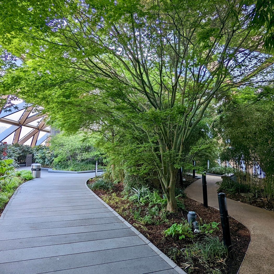 Crossrail Place Roof Garden 2