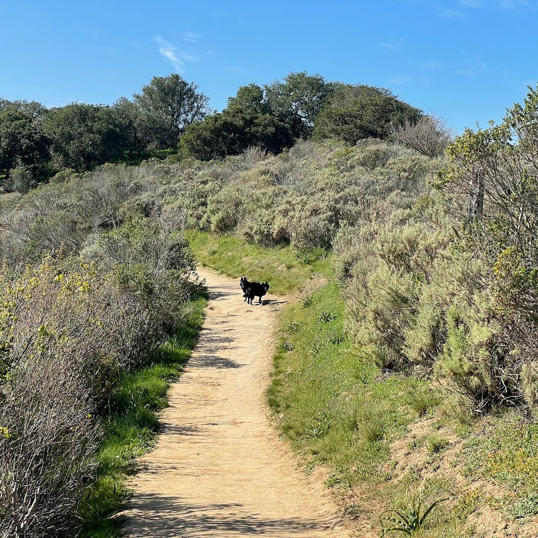 Pulgas Ridge Open Space Preserve 3