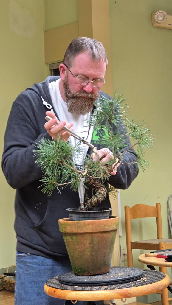 Visiting Bonsai Artist Series with Jason Parrish 2