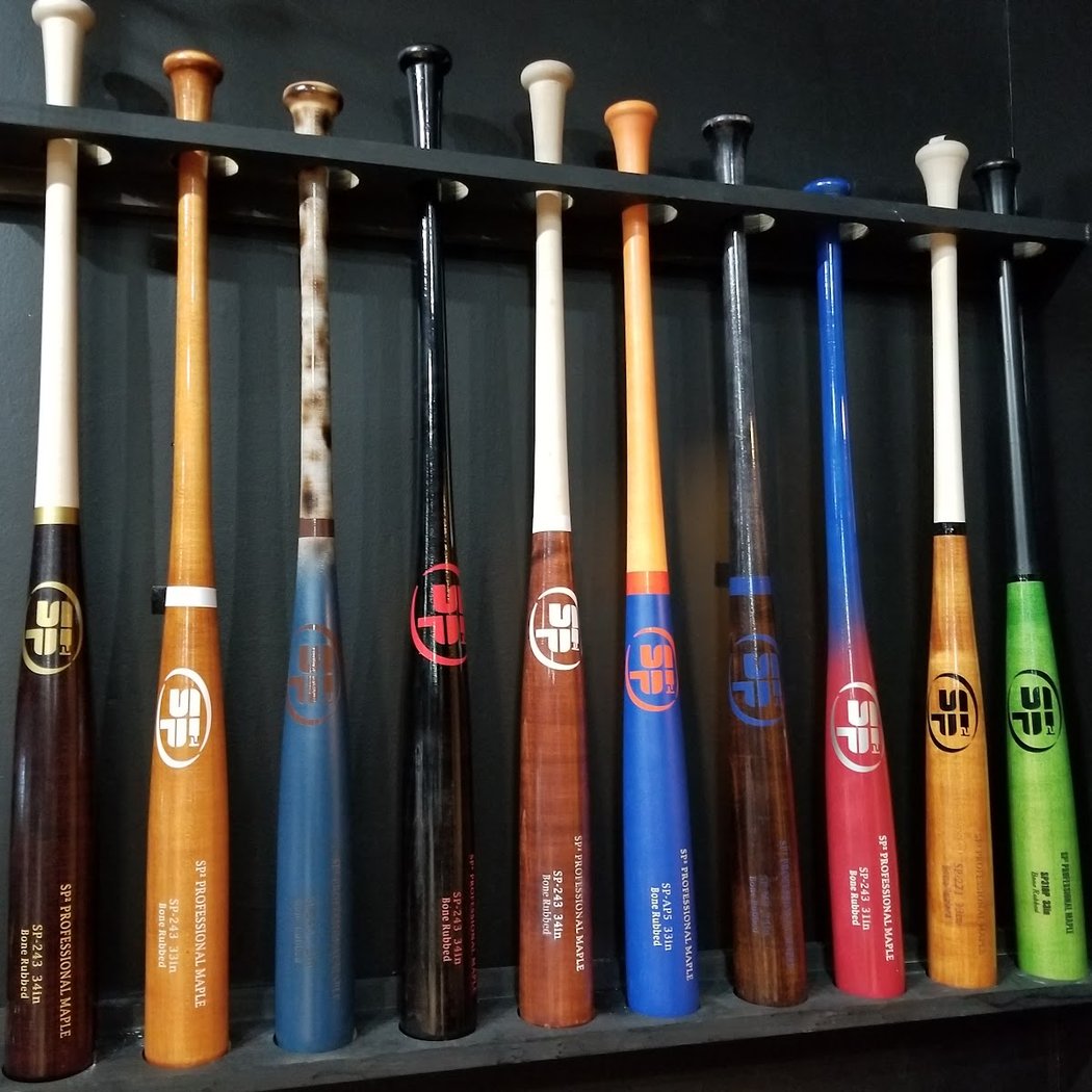 NY Sluggers Academy 2