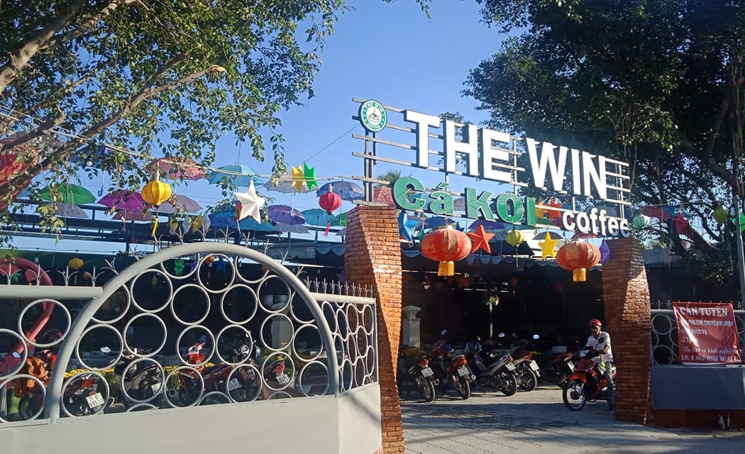The Win Coffee Cá Koi - Bến Tre 2