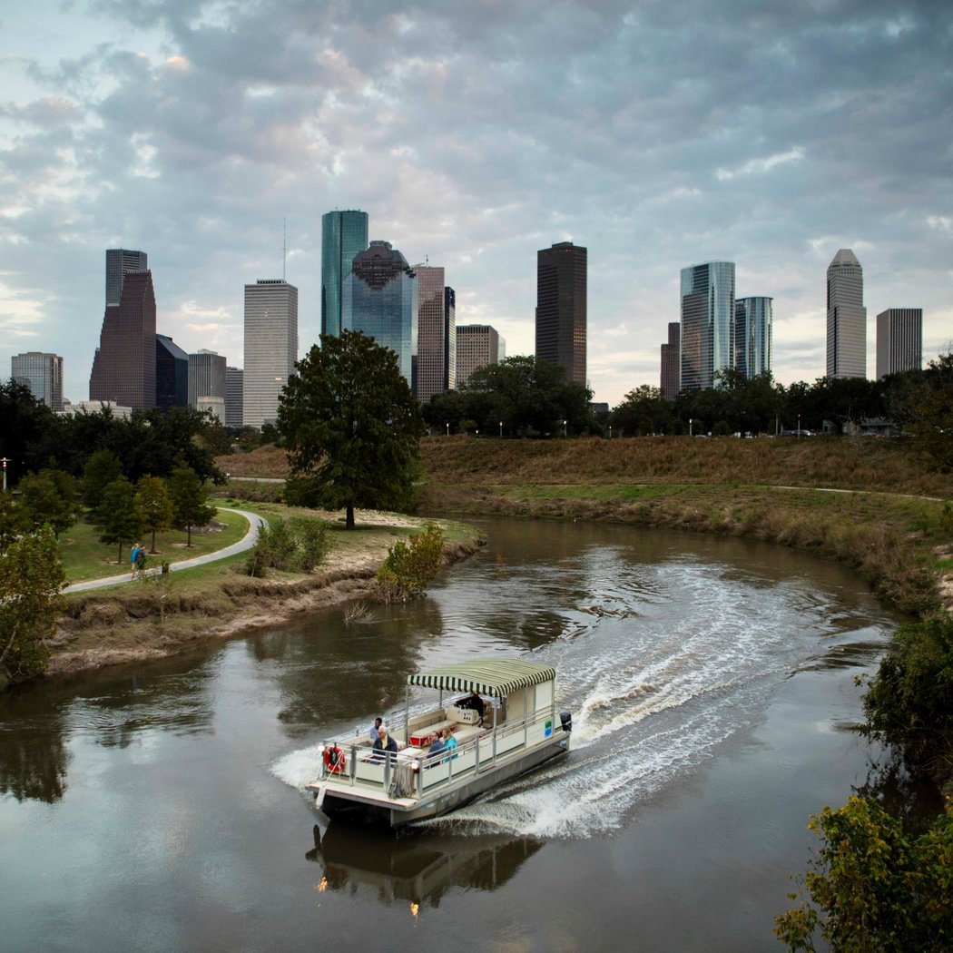 Buffalo Bayou Cruise: Bats