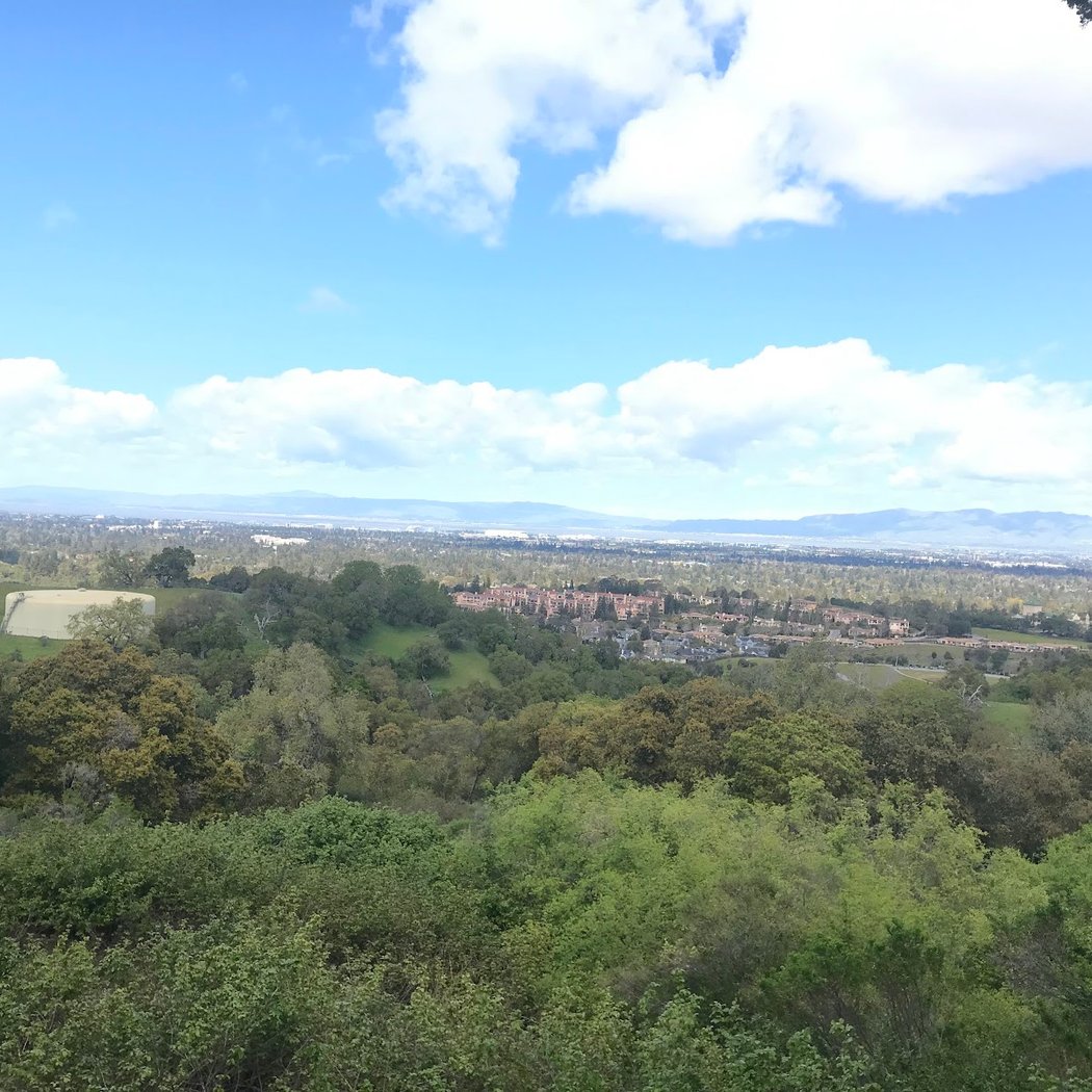 Stephen E. Abbors Trail 3
