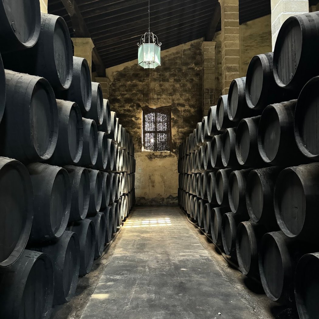 Bodegas Dios Baco 2