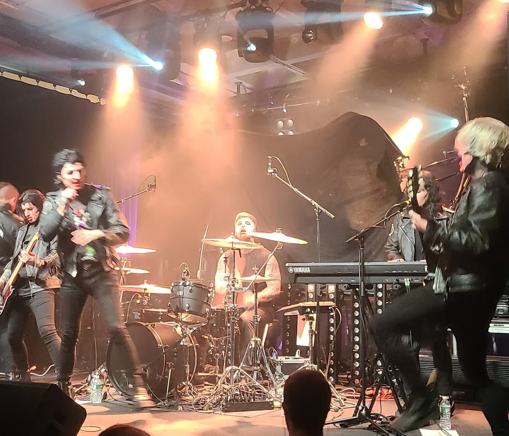 Melrose Avenue with Autumn Kings, and Stray View 3