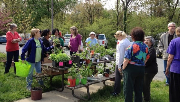 Community Plant Swap 2