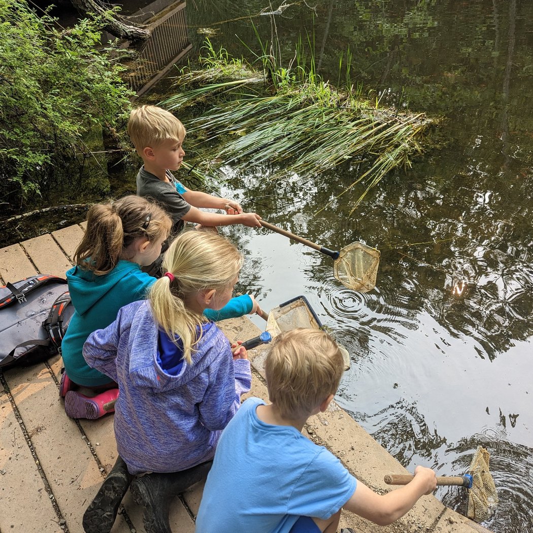Wild about Wildlife Camp Week 1