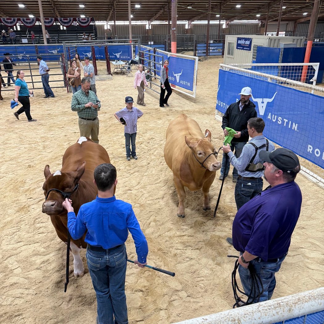 Rodeo Austin 5