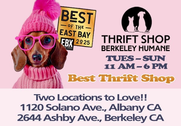 Thrift Shop supporting Berkeley Humane 1