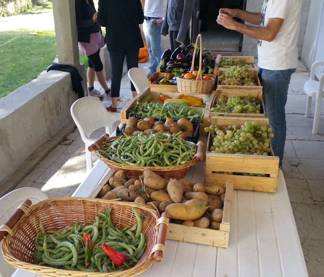 Les Jardins de Julien 3