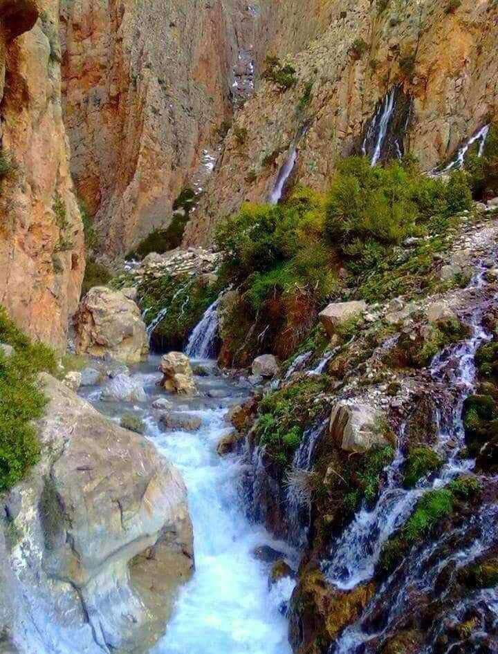 Taghia 3
