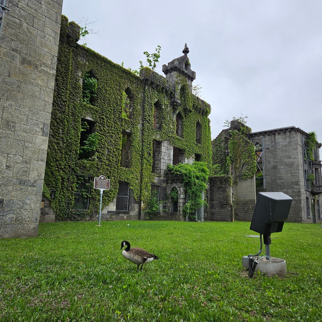 Roosevelt Island 3