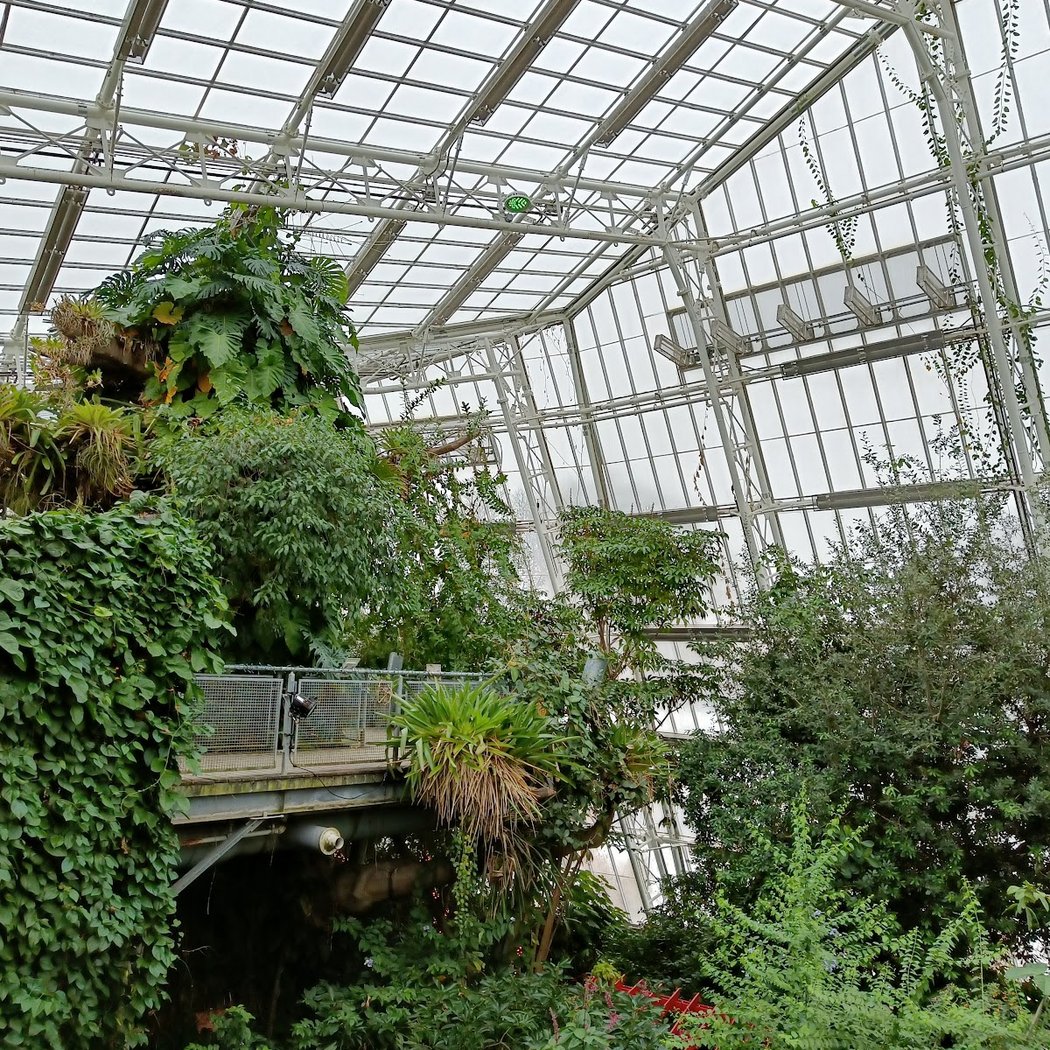 Cleveland Botanical Garden 3