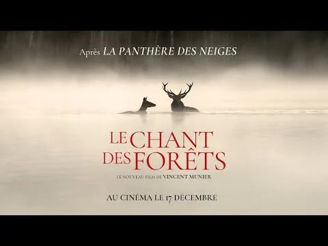 Le Chant des forêts 1
