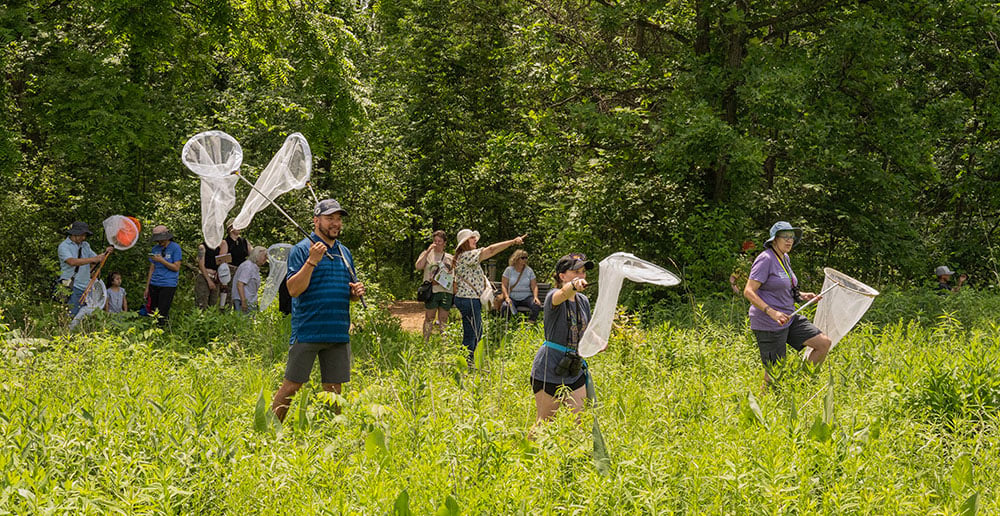 Newton Conservators Bioblitz 1