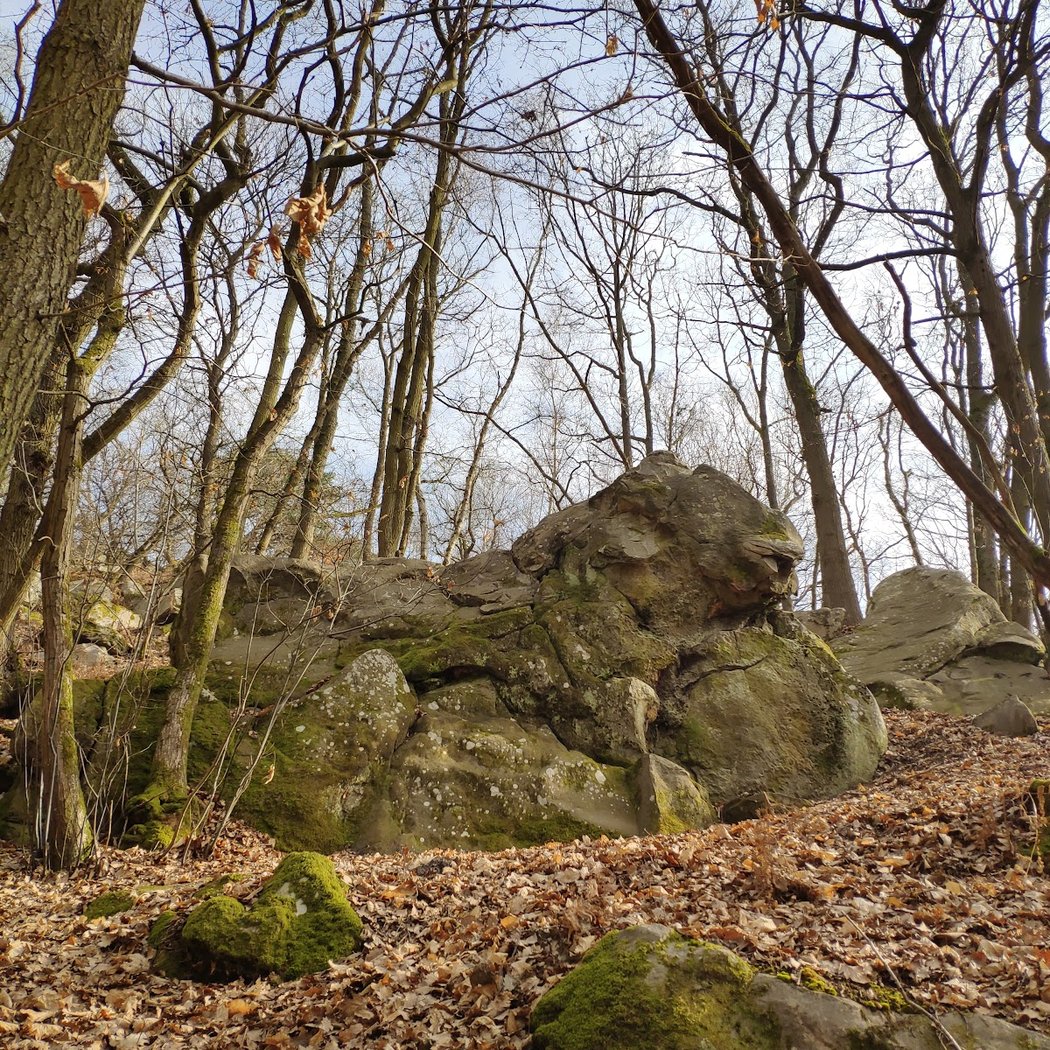 Le Belvédère 2