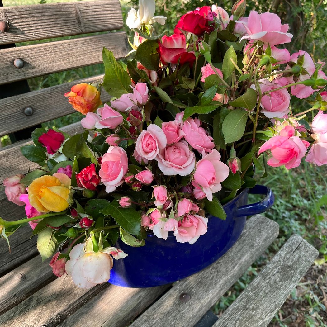 Donnerstag ist Hoftag: Gemüse und Blumen 2