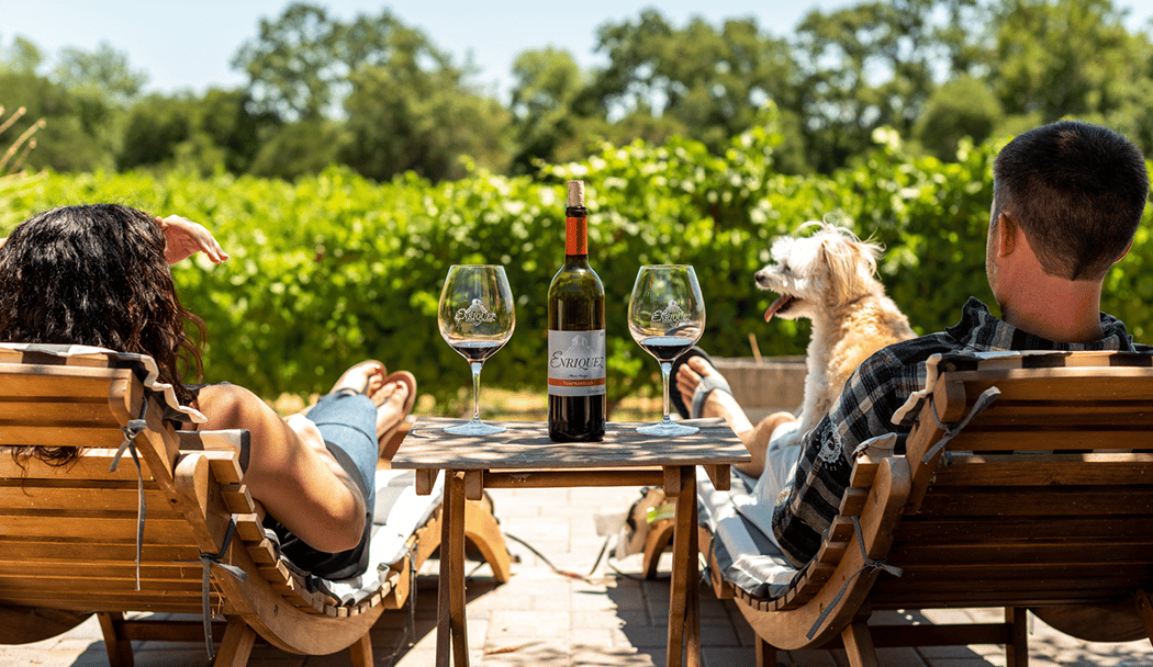 Enriquez Estate Wines - By Appointment Only 1
