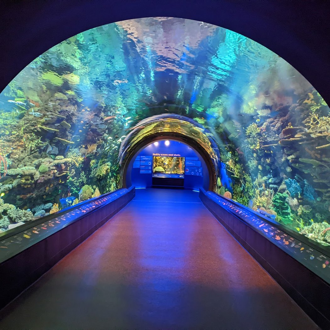 The New York Aquarium 2