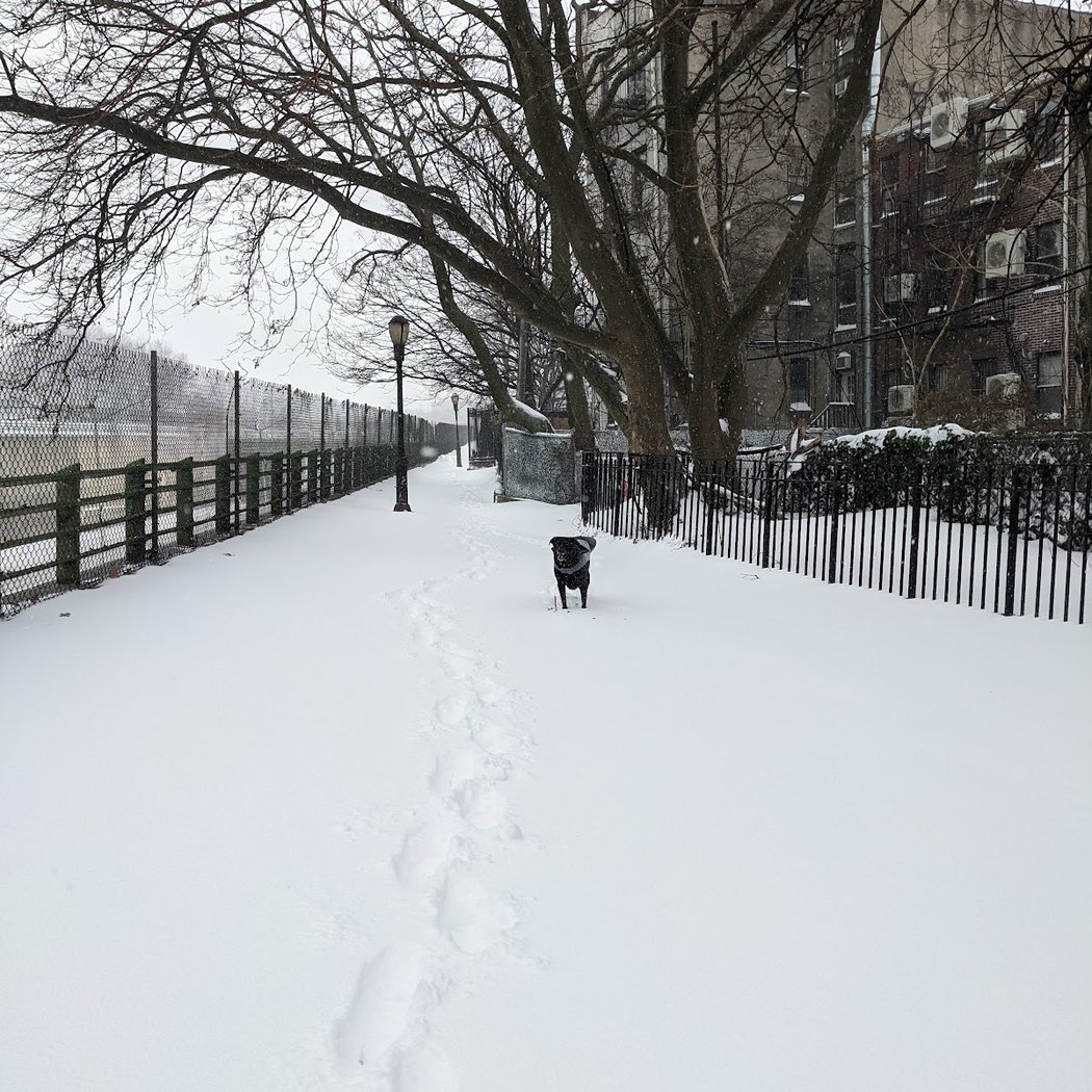 Detective Joseph Mayrose Park 1