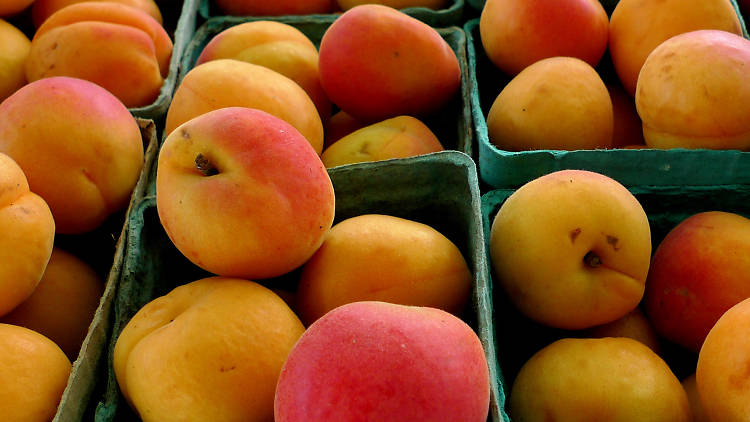 Staten Island Ferry Whitehall Terminal Greenmarket 1